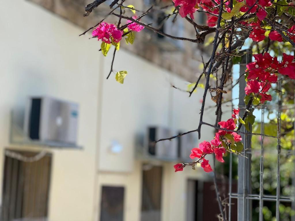 Aparthotel Godson Talpiot à Haïfa Extérieur photo